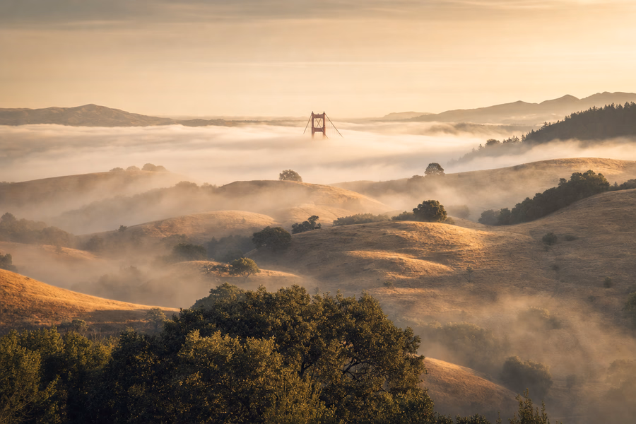Golden Legacy Moving serving the North Bay area of Hayward
